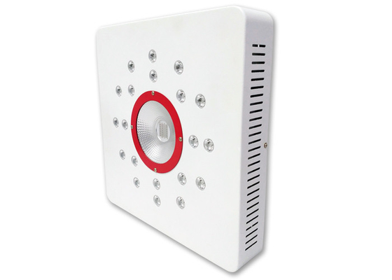 Newest 168w cob switchable control Full Spectrum led grow light for hydroponic&seed starting Indoor Plants growing