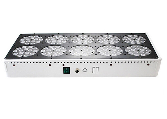 Seeding Cultivation Propagation Apollo Led Grow Light , Veg Bloom 450w Hydroponic Grow Lamps