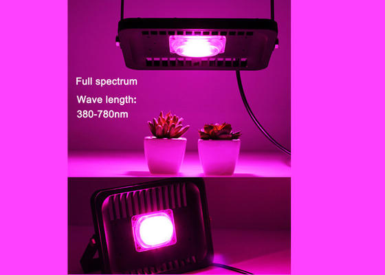 1PC 50W Module Outdoor Grow Lights IP65 High Power 50W For Indoor Plants Growth Bloom
