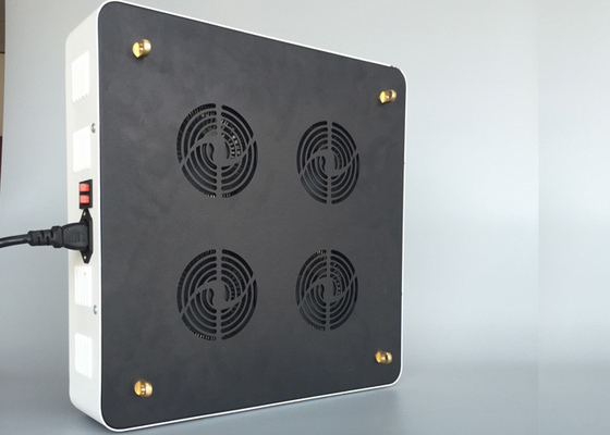 COB Cree LED Chip 600 Watt Led Grow Light For Horticulture Cultivation Marijuana Flowering