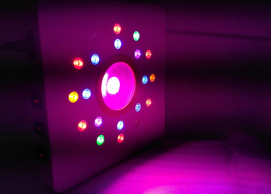 Newest 168w cob switchable control Full Spectrum led grow light for hydroponic&seed starting Indoor Plants growing