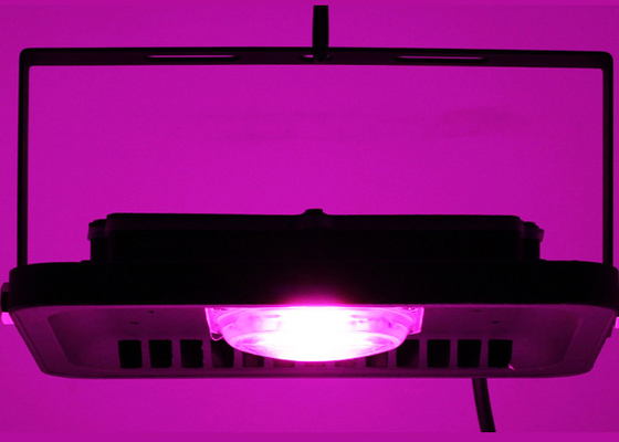 1PC 50W Module Outdoor Grow Lights IP65 High Power 50W For Indoor Plants Growth Bloom