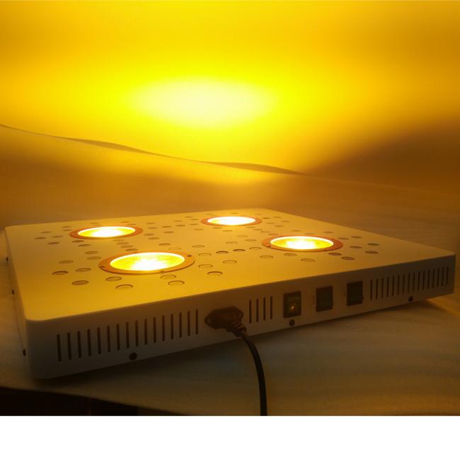 穂軸LEDはライトを育てます