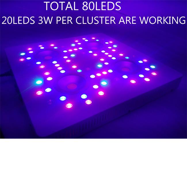 集りごとの20leds 3w