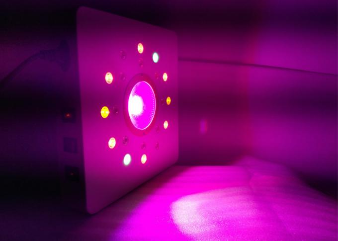 導かれる穂軸および高い発電はライトを育てます