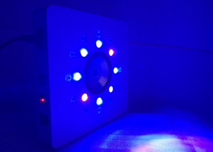 集りごとの8leds 3wは働いています