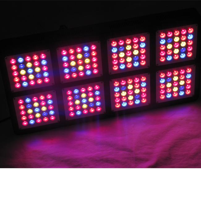 導かれる600wはライトを育てます