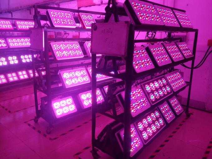 導かれるアポロ森林栽培者はライトを育てます